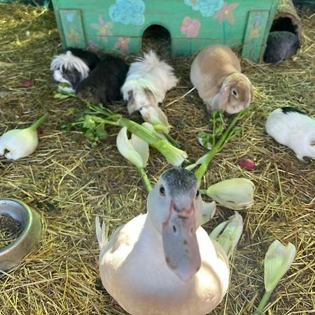 Sejour A La Ferme Villa Jouques Ngoại thất bức ảnh