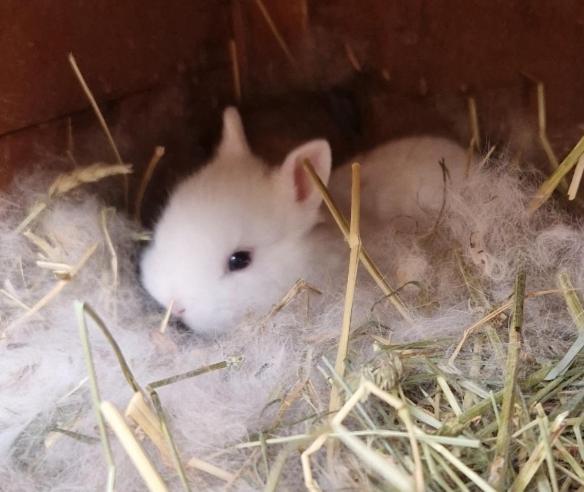 Sejour A La Ferme Villa Jouques Ngoại thất bức ảnh