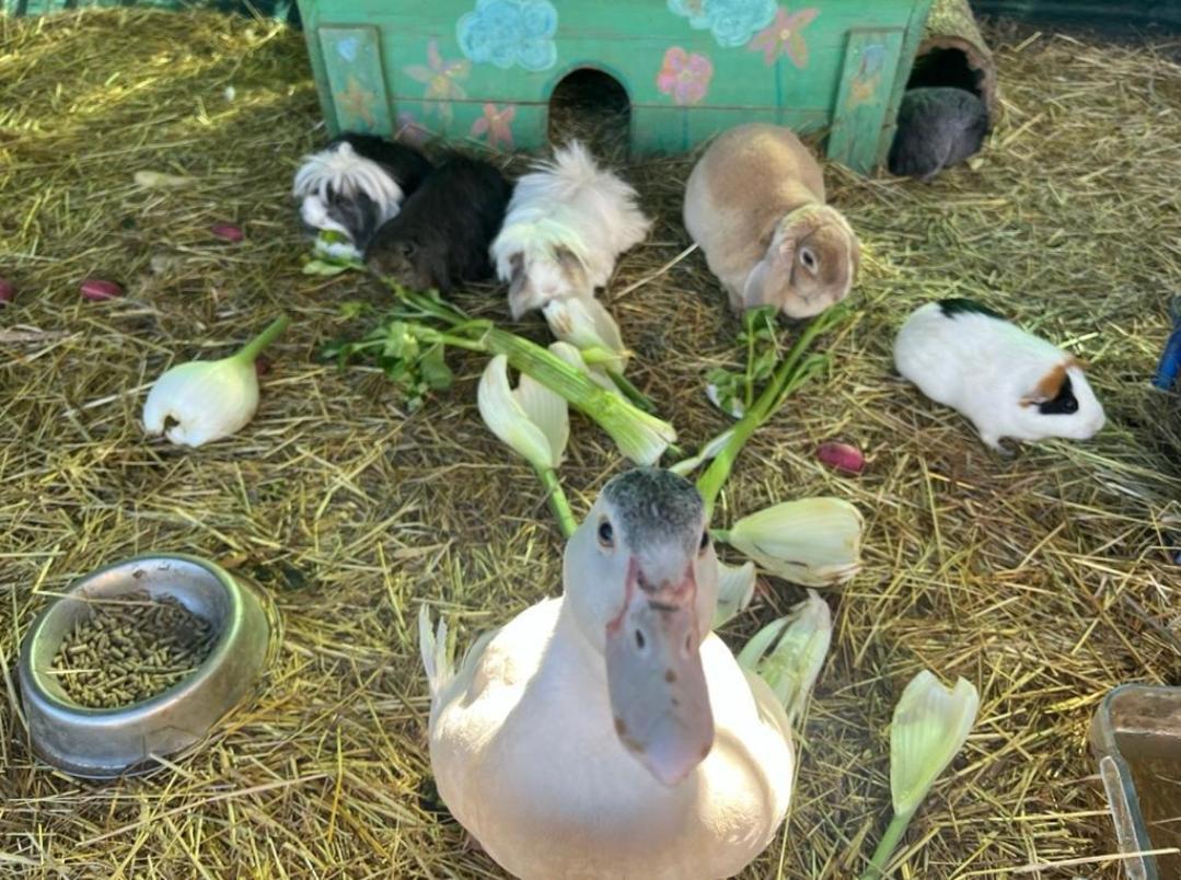 Sejour A La Ferme Villa Jouques Ngoại thất bức ảnh