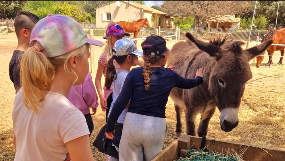 Sejour A La Ferme Villa Jouques Ngoại thất bức ảnh