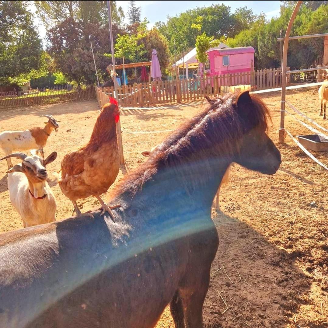 Sejour A La Ferme Villa Jouques Ngoại thất bức ảnh